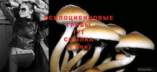 jwh Саяногорск