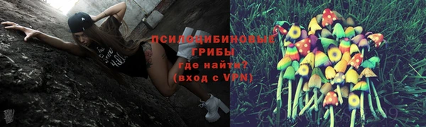 mdpv Сафоново