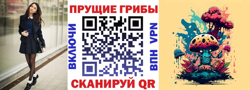 Галлюциногенные грибы Psilocybe  наркота  Калуга 