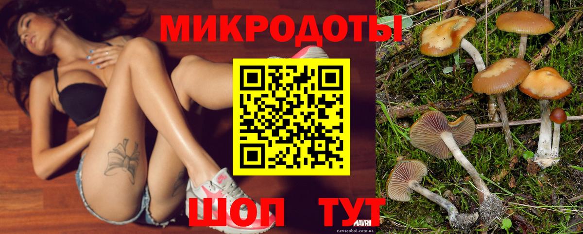 Галлюциногенные грибы Psilocybe Калуга